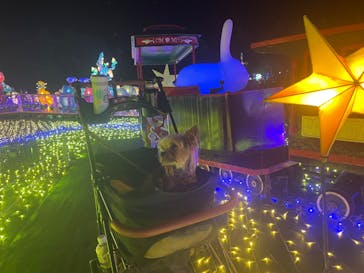 伊豆ぐらんぱる公園に投稿された画像（2024/8/2）