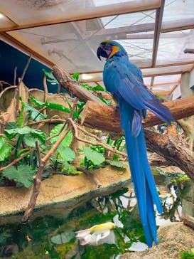 那須どうぶつ王国に投稿された画像（2024/8/2）