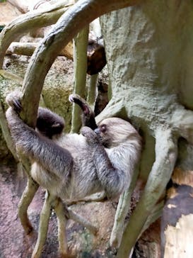 那須どうぶつ王国に投稿された画像（2024/8/2）