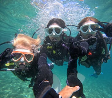 沖縄マリンサービス碧に投稿された画像（2024/8/2）