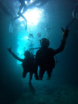 武藤潜水に投稿された画像（2024/8/2）