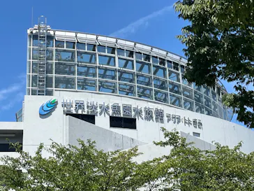 世界淡水魚園水族館　アクア・トトぎふに投稿された画像（2024/8/2）