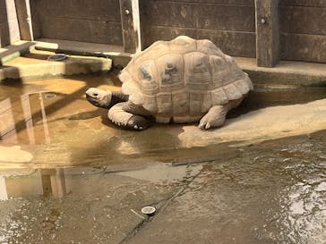世界淡水魚園水族館　アクア・トトぎふに投稿された画像（2024/8/2）