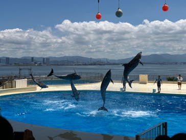 マリンワールド海の中道に投稿された画像（2024/8/2）