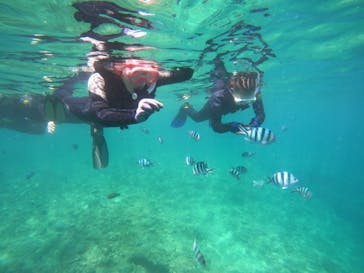 武藤潜水に投稿された画像（2024/8/2）