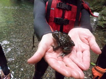 ココロ アウトドアツアーに投稿された画像（2024/7/31）