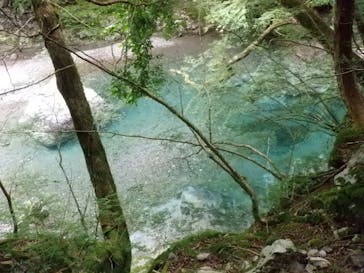 ココロ アウトドアツアーに投稿された画像（2024/7/31）