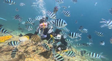 青の洞窟専門店　沖縄ダイビングショップ和に投稿された画像（2024/8/2）