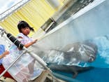 新江ノ島水族館に投稿された画像（2024/8/2）
