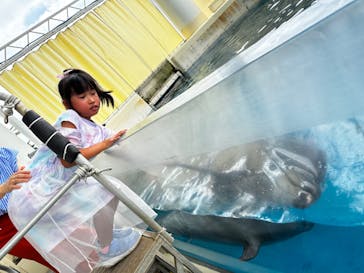新江ノ島水族館に投稿された画像（2024/8/2）