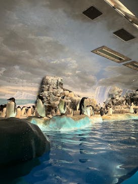 名古屋港水族館に投稿された画像（2024/8/2）