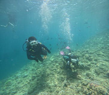 沖縄マリンサービス碧に投稿された画像（2024/8/2）