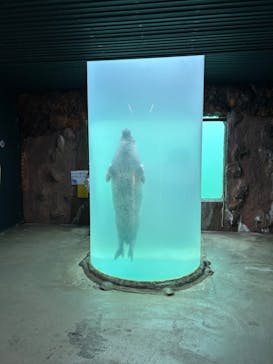 東北サファリパークに投稿された画像（2024/8/2）