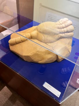 岐阜県博物館に投稿された画像（2024/8/2）