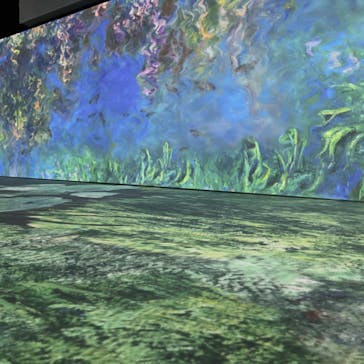 モネ＆フレンズ・アライブに投稿された画像（2024/8/2）