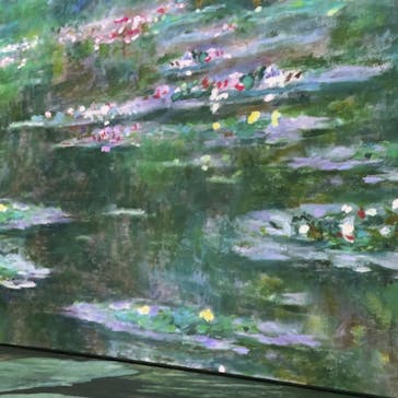 モネ＆フレンズ・アライブに投稿された画像（2024/8/2）