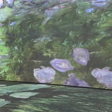 モネ＆フレンズ・アライブに投稿された画像（2024/8/2）