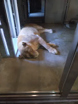 天王寺動物園に投稿された画像（2024/8/2）