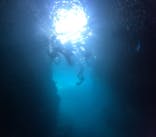 沖縄マリンサービス碧に投稿された画像（2024/8/2）