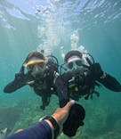 沖縄マリンサービス碧に投稿された画像（2024/8/2）