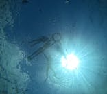 マリンクラブジジに投稿された画像（2024/8/2）