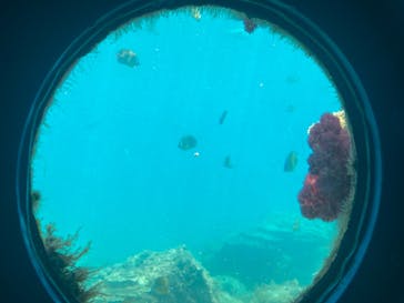 串本海中公園水族館に投稿された画像（2024/8/2）