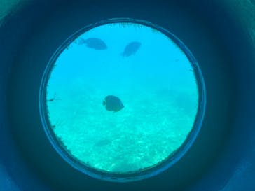 串本海中公園水族館に投稿された画像（2024/8/2）