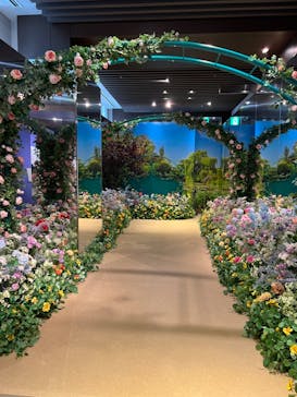 モネ＆フレンズ・アライブに投稿された画像（2024/8/2）