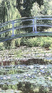 モネ＆フレンズ・アライブに投稿された画像（2024/8/2）