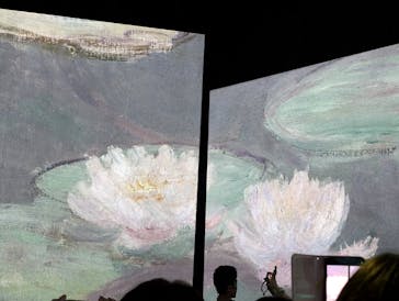 モネ＆フレンズ・アライブに投稿された画像（2024/8/2）