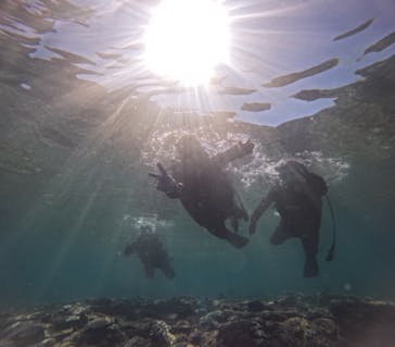 青の洞窟専門店　沖縄ダイビングショップ和に投稿された画像（2024/8/2）