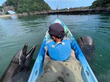 太地町立くじらの博物館に投稿された画像（2024/8/2）