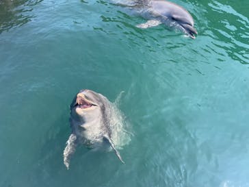 太地町立くじらの博物館に投稿された画像（2024/8/2）