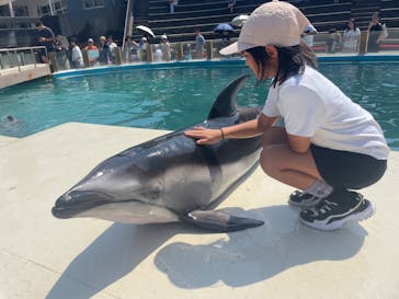 太地町立くじらの博物館に投稿された画像（2024/8/2）