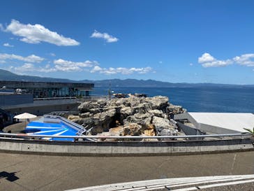 大分マリーンパレス水族館 「うみたまご」に投稿された画像（2024/8/2）