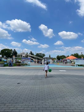 しらこばと水上公園（埼玉県公園緑地協会）に投稿された画像（2024/8/2）