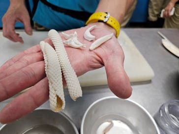 しながわ水族館に投稿された画像（2024/8/2）