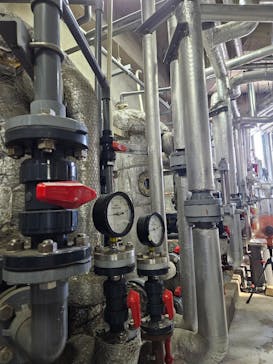 しながわ水族館に投稿された画像（2024/8/2）