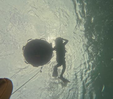 西表島 ADVENTURE PiPi（アドベンチャーピピ）に投稿された画像（2024/8/2）