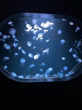 AOAO SAPPOROに投稿された画像（2024/8/2）