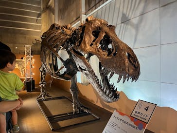 巨大恐竜展2024に投稿された画像（2024/8/2）