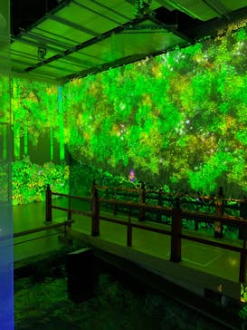 AQUARIUM × ART　atoaに投稿された画像（2024/7/28）