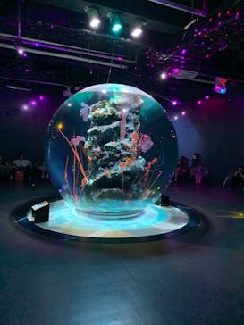 AQUARIUM × ART　atoaに投稿された画像（2024/7/28）