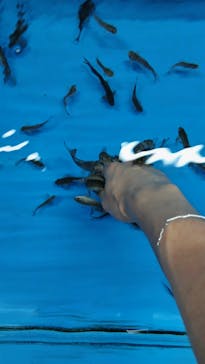 越前松島水族館に投稿された画像（2024/8/2）