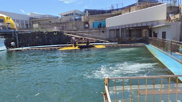 越前松島水族館に投稿された画像（2024/8/2）