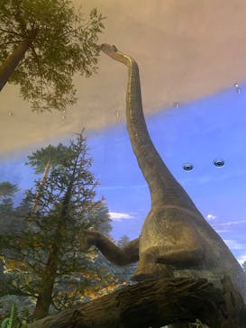 福井県立恐竜博物館に投稿された画像（2024/8/2）