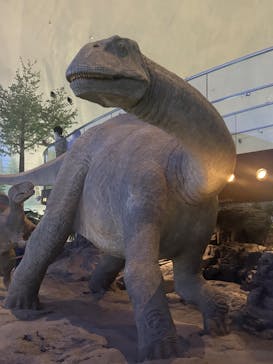 福井県立恐竜博物館に投稿された画像（2024/8/2）