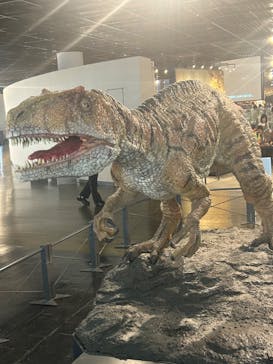 福井県立恐竜博物館に投稿された画像（2024/8/2）