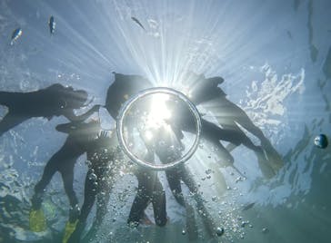 武藤潜水に投稿された画像（2024/8/2）