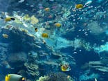 沖縄美ら海水族館に投稿された画像（2024/8/2）